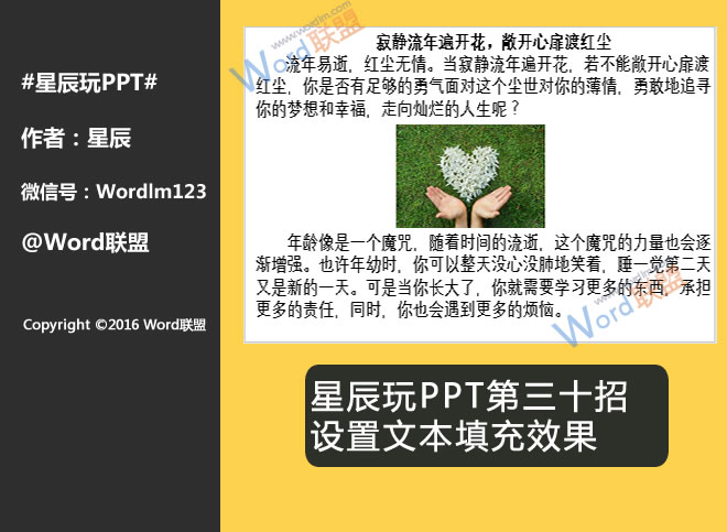 IS镜头STM久久精品国产亚洲不av麻豆，揭示摄影新纪元的科技魅力
